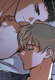 11681_cover