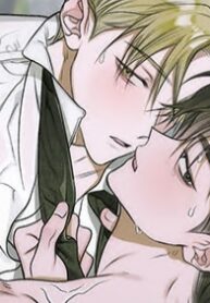 11725_cover