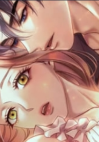 15528_cover