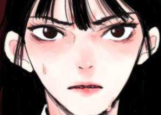 8062_cover