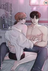 메이트