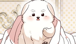 황제의 멍멍이