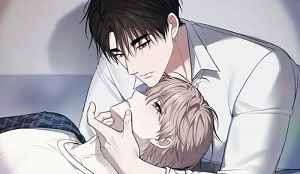 파노라마 뷰