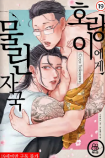[허니B] 호랑이에게 물린 자국