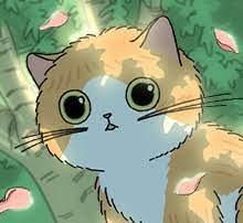 고양이 타타