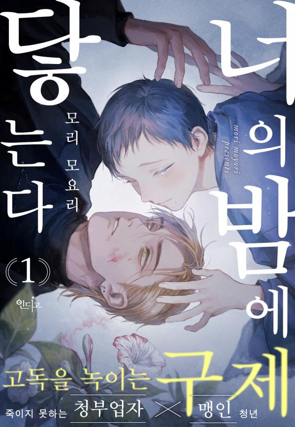 너의 밤에 닿는다
