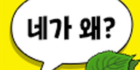2022 그걸 네가 왜!