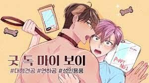 굿 독 마이 보이