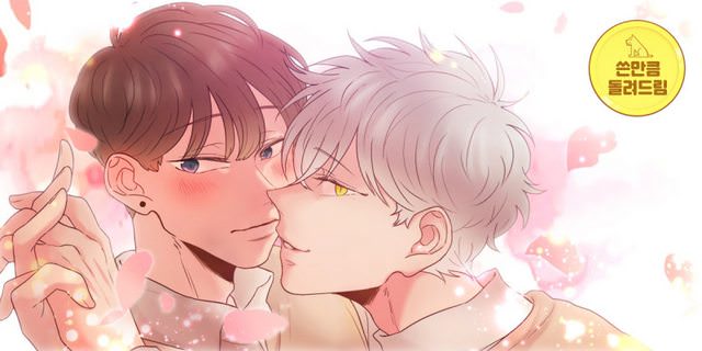 애정보이스